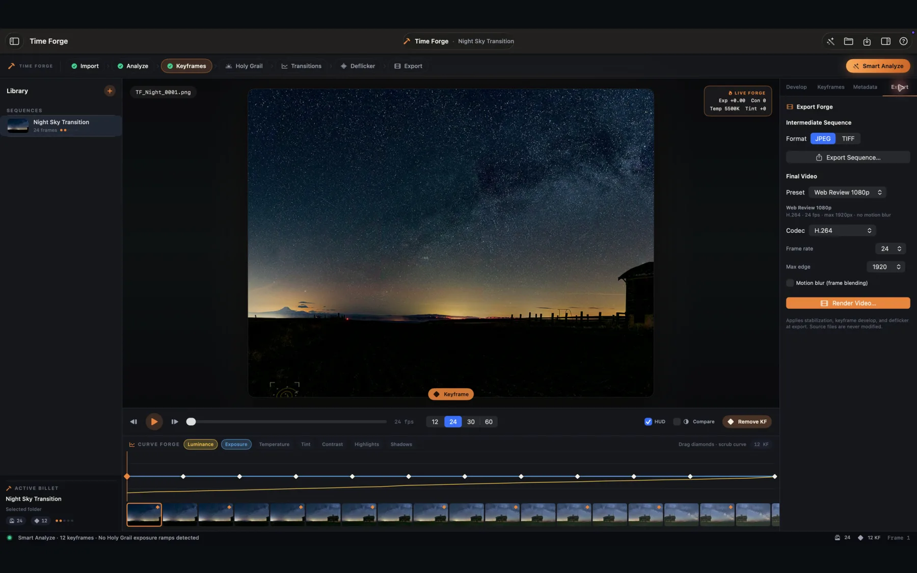 Time Forge professional export workspace
